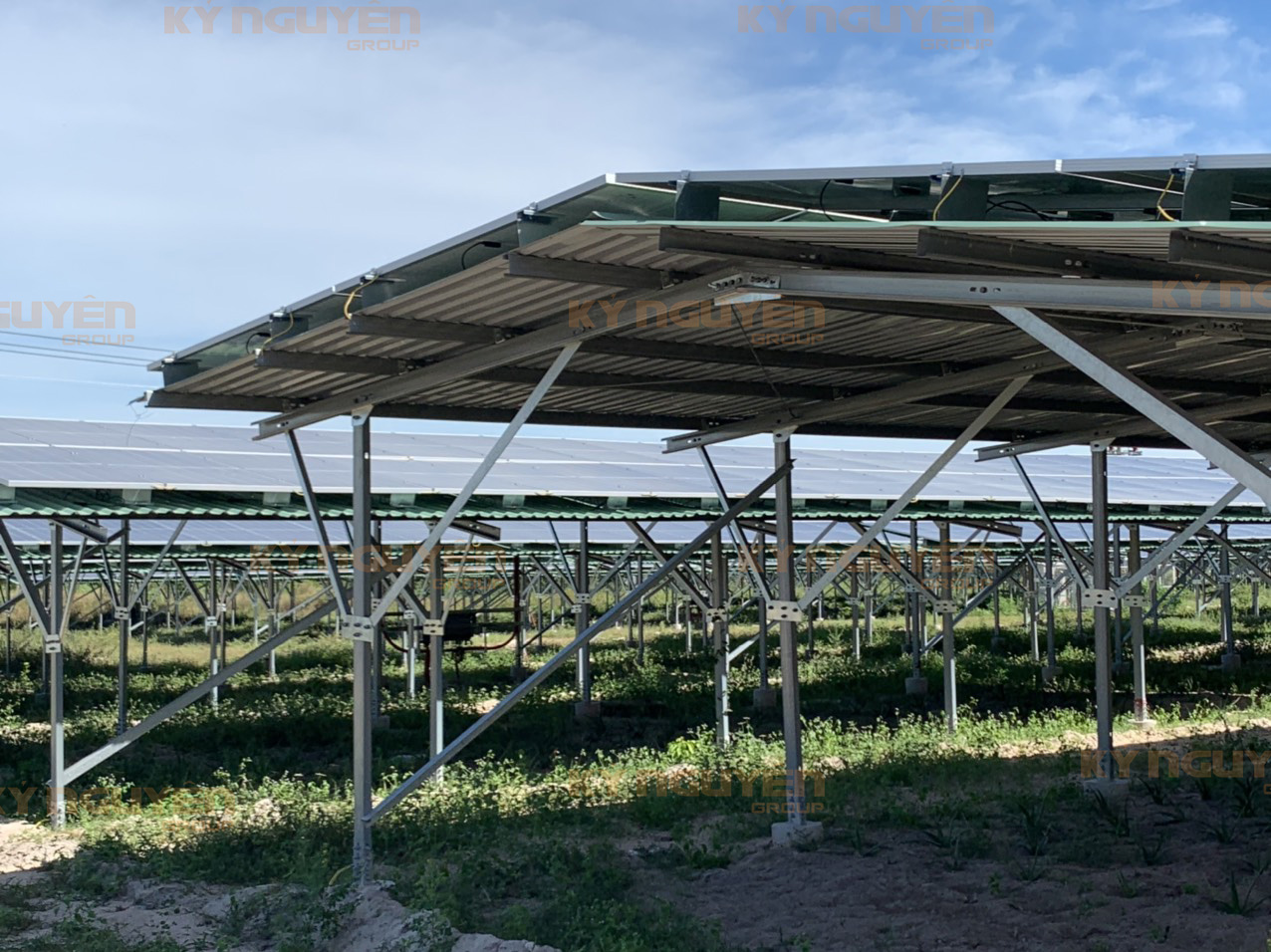 Dự án trang trại nông nghiệp kết hợp điện mặt trời Bắc Bình - Kỷ Nguyên Group